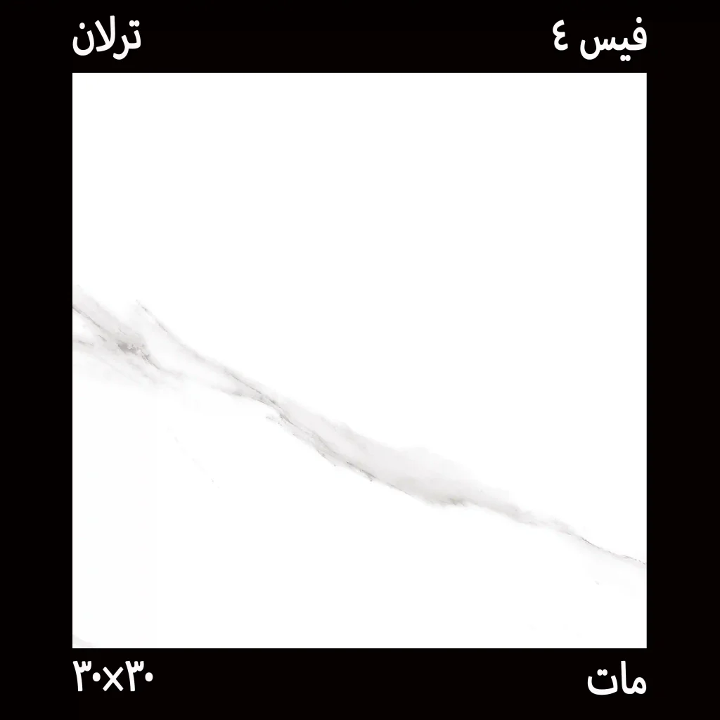 سرامیک 30*30 ترلان سرامیک کف