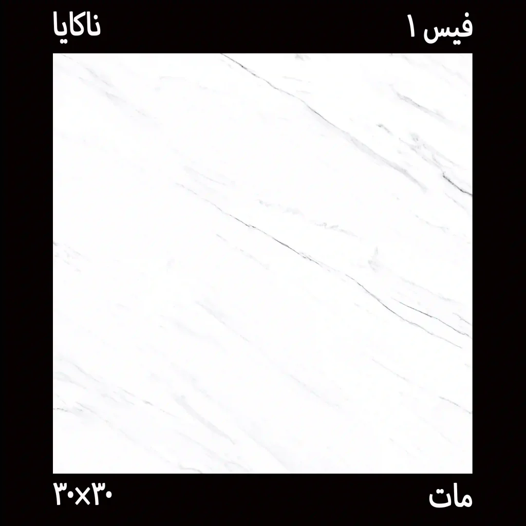 سرامیک ناکایا