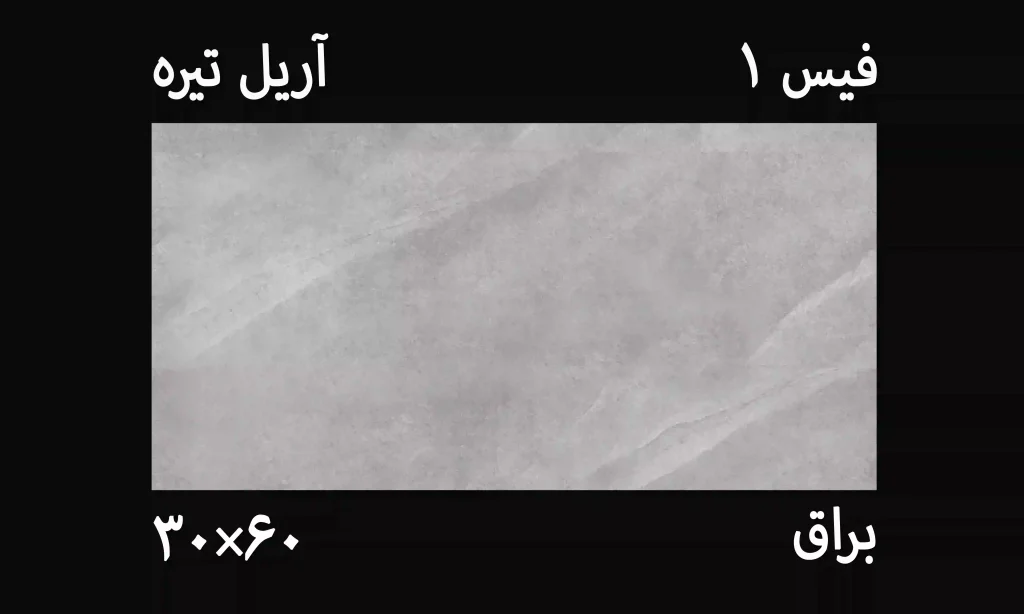 کاشی آریل تیره 30*60